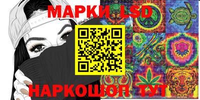 скорость Новозыбков