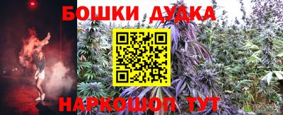 скорость Новозыбков